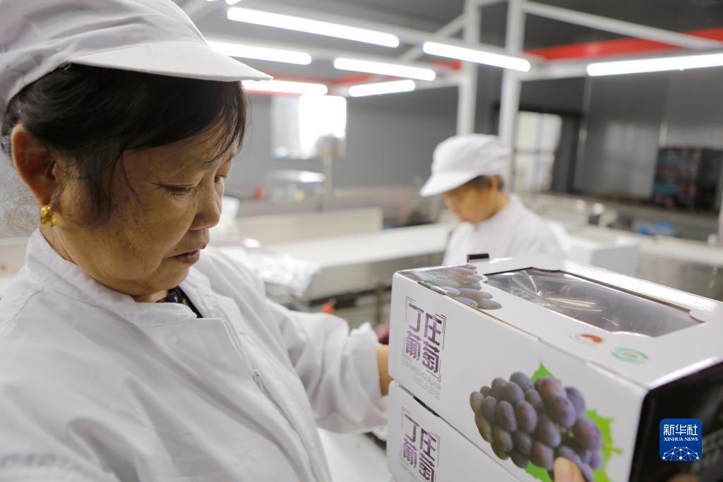 新濠博亚娱乐平台